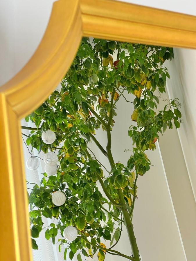 #Lemon Tree By Halu! Apartments Thessaloniki Exterior photo